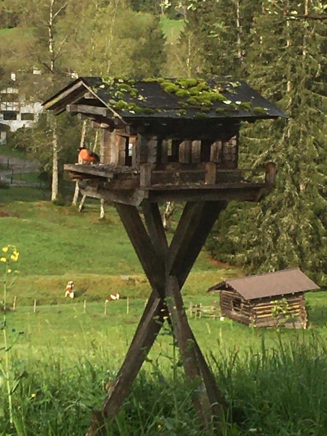 Hof Hintererb Villa Kitzbuhel Luaran gambar