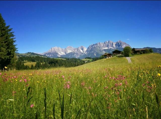 Hof Hintererb Villa Kitzbuhel Luaran gambar